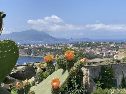 Procida zählt zu den Phlegräischen Inseln und gehört zur Metropolitanstadt Neapel in Kampanien.